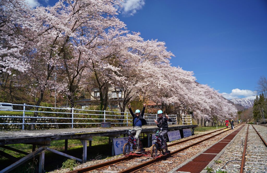 桜とレールマウンテンバイク