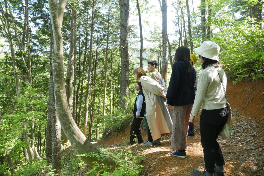 広葉樹の森見学